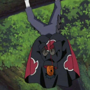 Meet your Posher, Alexa